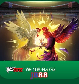 j888